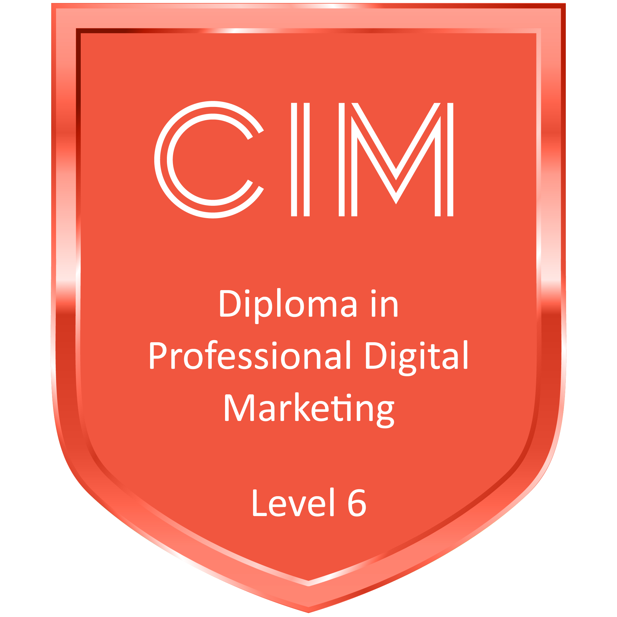 CIM Diploma Level 6 badge